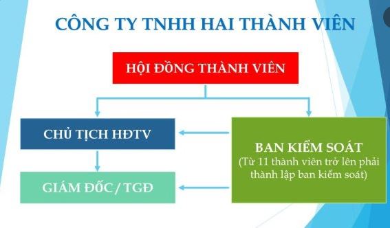 Vị trí, cơ cấu và quyền hạn của Ban kiểm soát trong công ty cổ phần