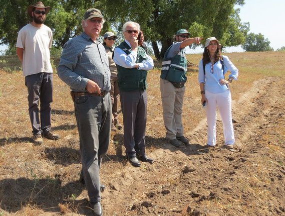 suelos agrícolas
