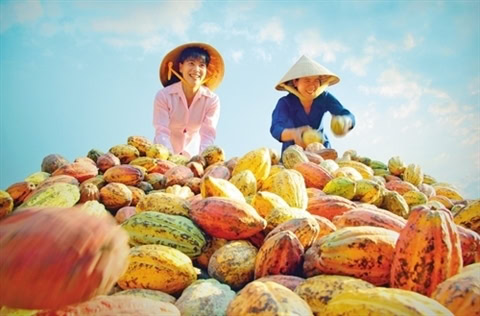 Đăng ký thương hiệu cho sản phẩm nông nghiệp