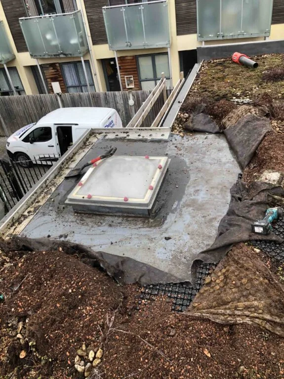 Leak in green roof London