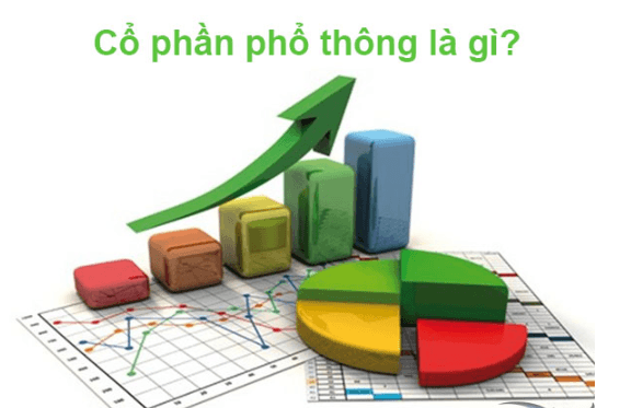 Cổ phần phổ thông và cổ phần ưu đãi khác nhau như thế nào?