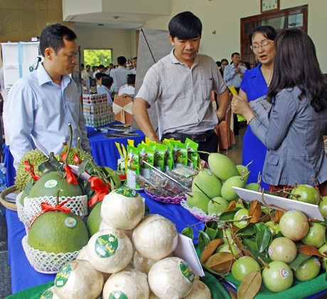 Đăng ký bảo hộ nhãn hiệu cho sản phẩm trái cây