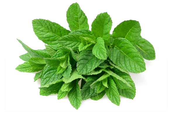 catalog/MINT.jpg