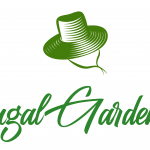 Cheap Must-Have Tools For Frugal Gardeners