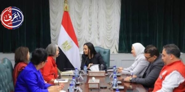 جسور الحماية بين القاهرة وروما.. عندما تلتقي خبرات الشمال بالجنوب