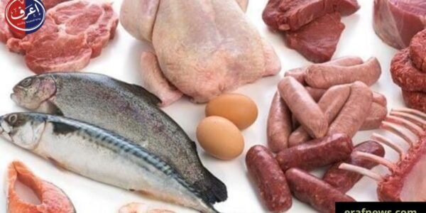 خريطة أسعار اللحوم والدواجن والأسماك في محافظات مصر