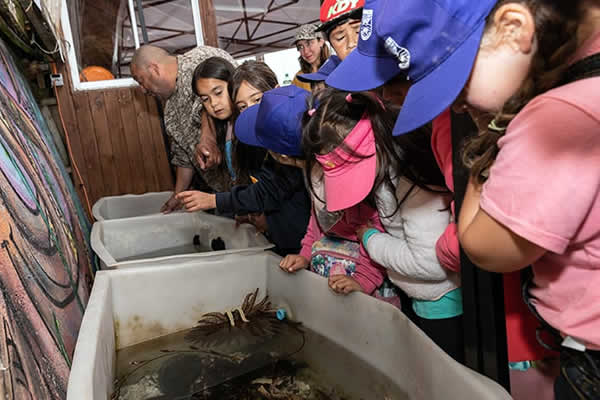 conservación marina