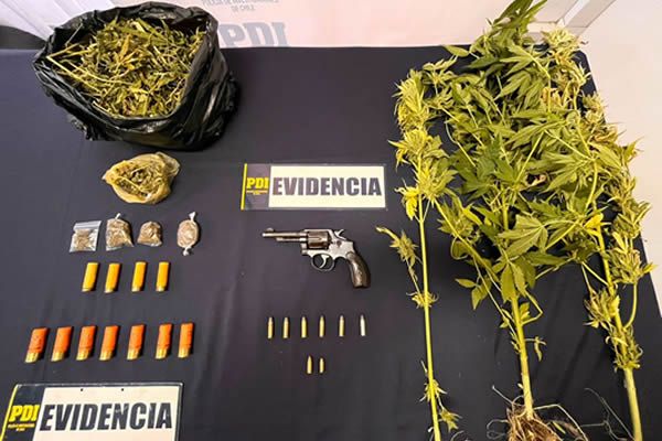 armas y munición