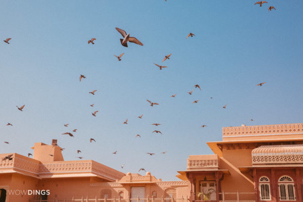 destination wedding photography by wowdings at chomu palace, jaipur