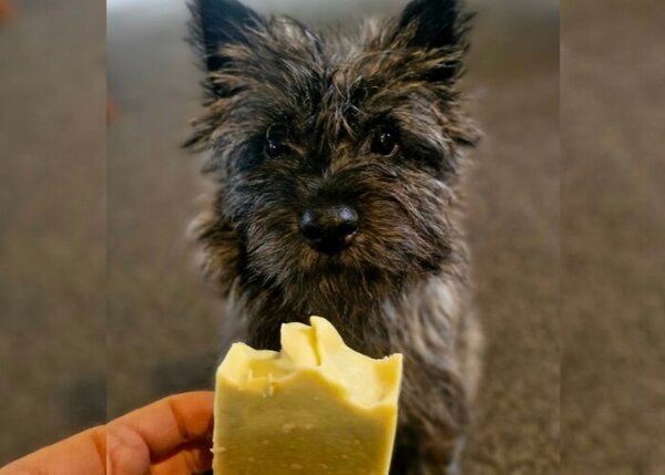 Rigby's Dog Tallow Soap - Image 2