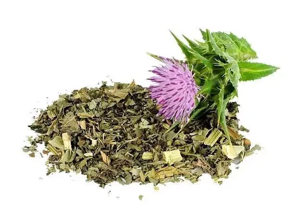 Herbstore Γαϊδουράγκαθο 60gr