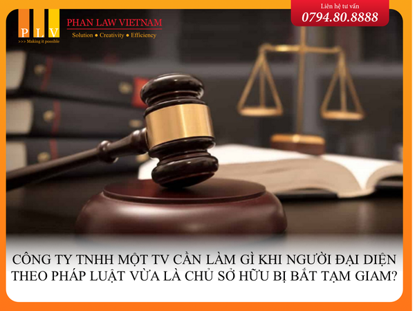 Công ty TNHH một TV cần làm gì khi người đại diện theo pháp luật vừa là chủ sở hữu bị bắt tạm giam?