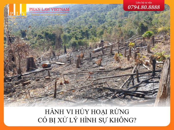 Hành vi hủy hoại rừng có bị xử lý hình sự không?