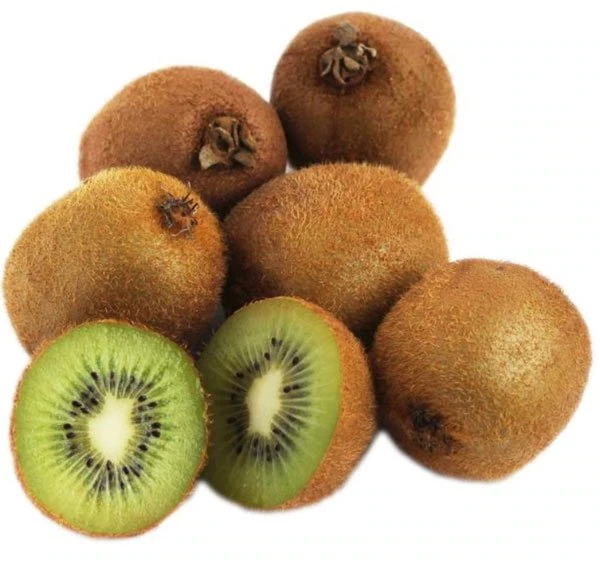 can dogs eat kiwi
