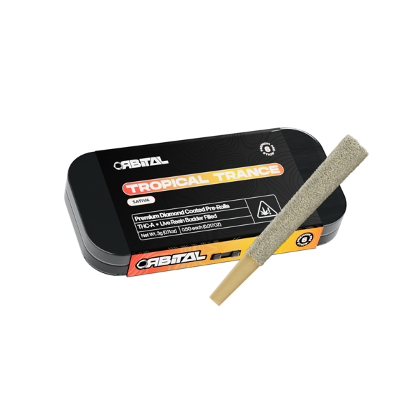 5g - 6ct Tin Preroll - TROPICAL TRANCE - Sativa wholesale – Dizzle Dist