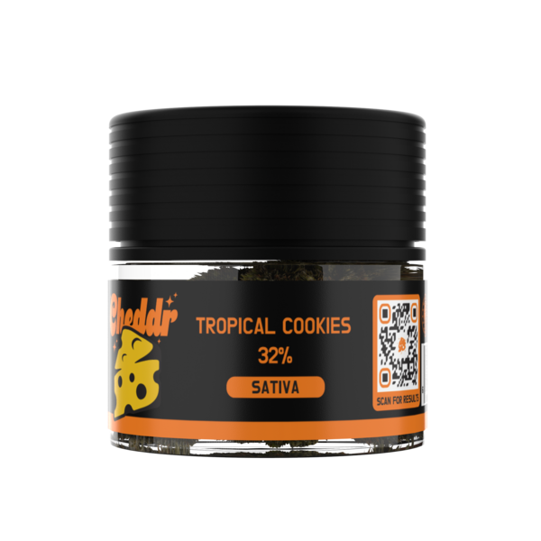 3.5g THCa Flower - TROPICAL COOKIES - Sativa wholesale – Dizzle Dist