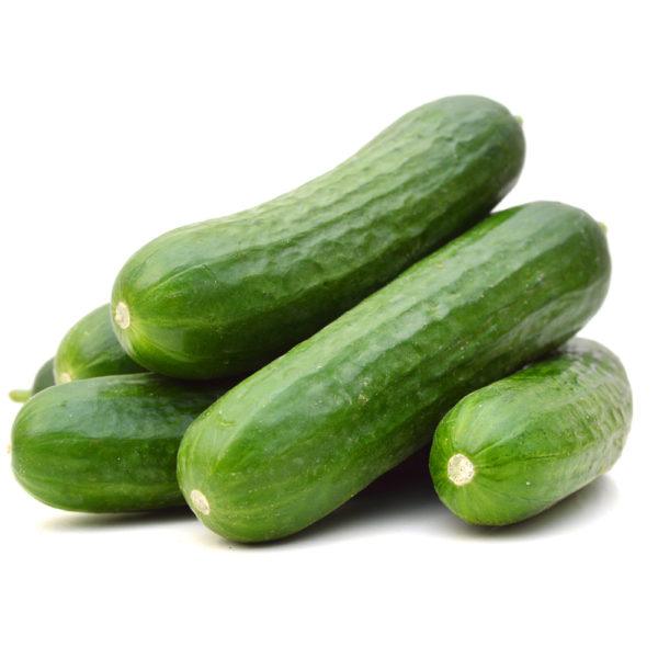 CUCUMBER BABY PACK 250G