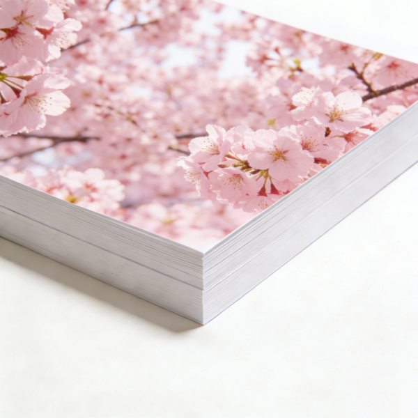 A4 300g Heavy Weight Double Sided Matte Inkjet Paper 50 Sheets 8.3"× 11.7" Vivid Color Photo Quality Universal Inkjet Printer