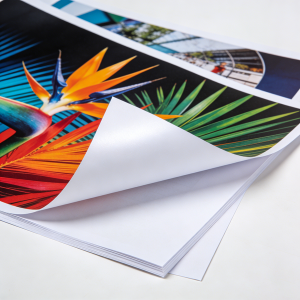 8.3"× 11.7" Premium A4 Matte Inkjet Photo Paper 180g - 50 Sheets Double Sided, Color Spray HD Printing for Inkjet Printers - Image 3