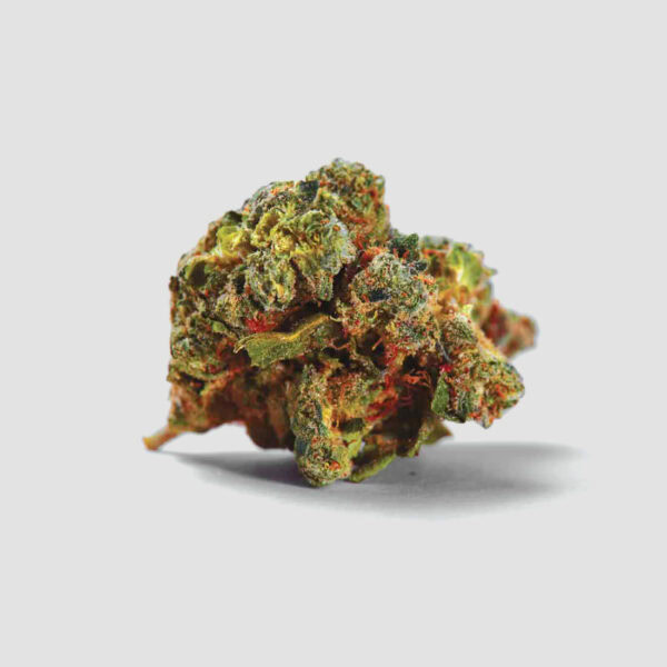 Cream Caramel Cannabis Samen