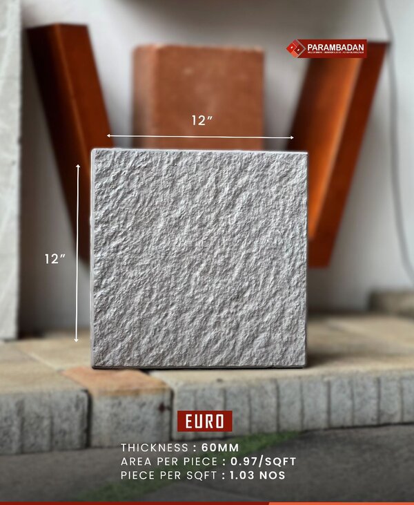 Euro - Image 5