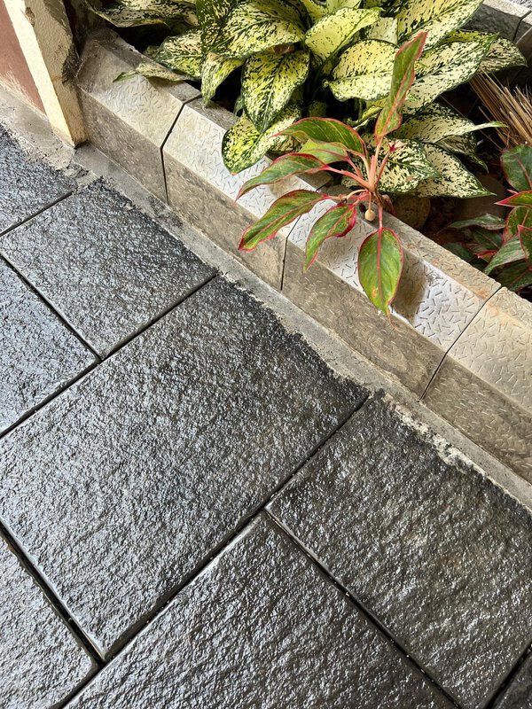Curb stone - Image 7