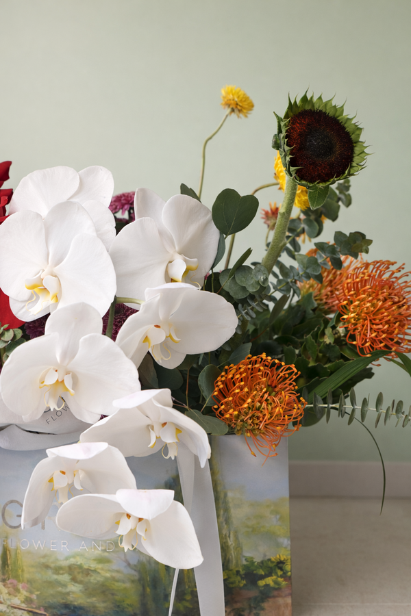 Midnight Orchid - Image 2