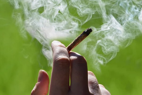Các chế tài sản phạt sử dụng, tàng trữ, mua bán cần sa.