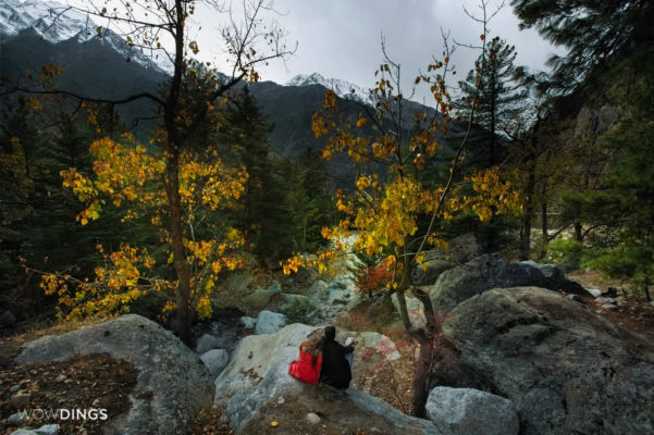 Destination Pre wedding Shoot in Himachal Pradesh