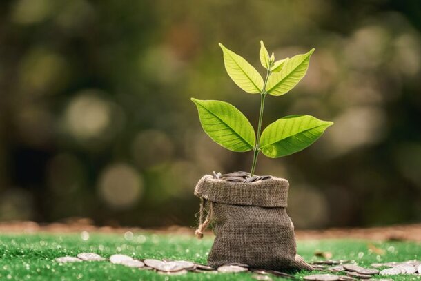 Fabric Over Plastic Grow Bags