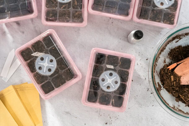 Cheap and Economical Humidity Dome Alternatives