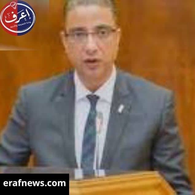 محافظ الجيزة