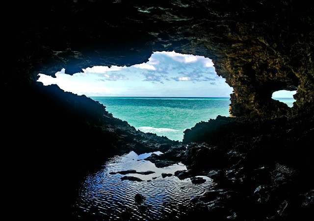 Inside Animal Flower Cave.