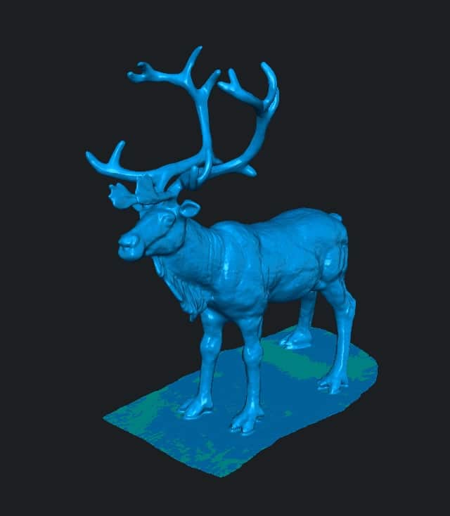 3D Scan von einem Hirsch
