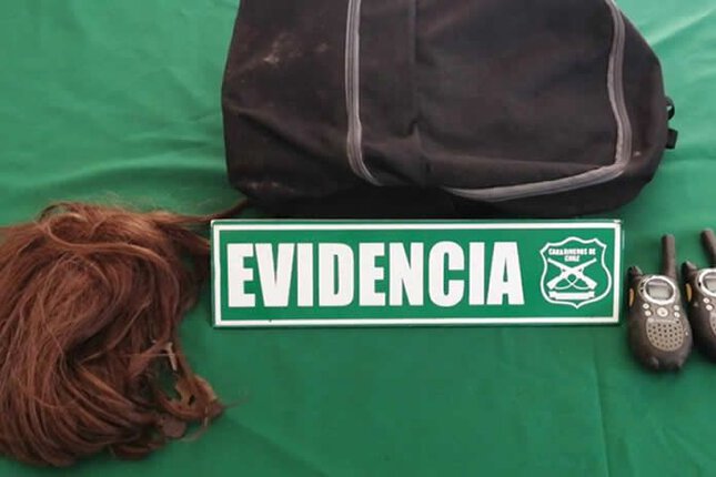 peluca