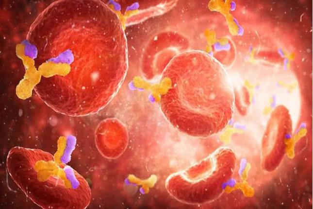 coronavirus Covid-19