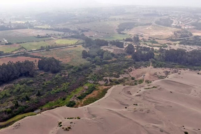 extracción de arena