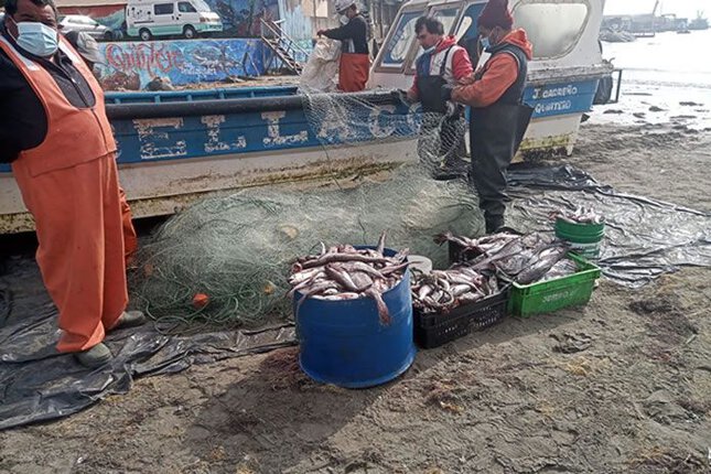 Los Pescadores