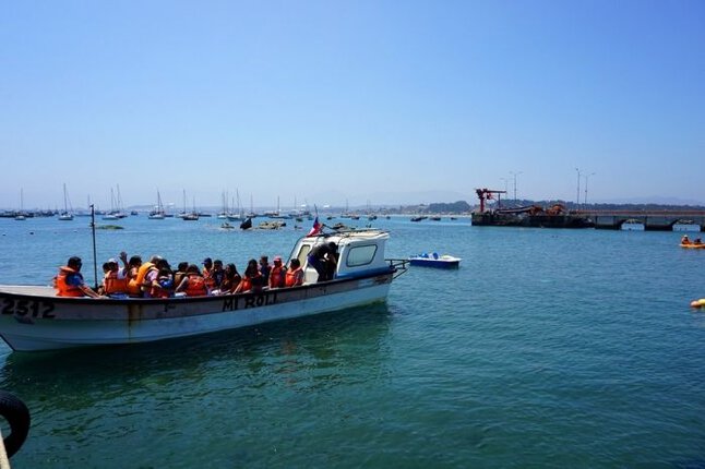 pescadores S-24