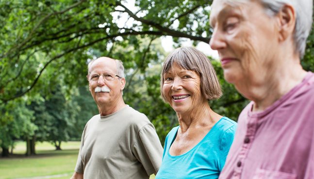 Three seniors walking in a park