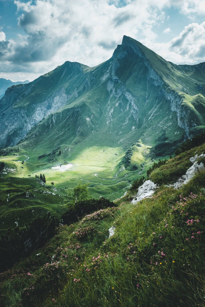 Bergwiese mit steilem Berghang im Hintergrund