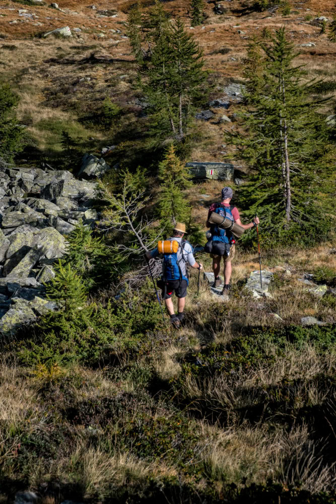 Zwei Wanderer laufen durch fjällähnliches Gelände mit kleinen Bäumen