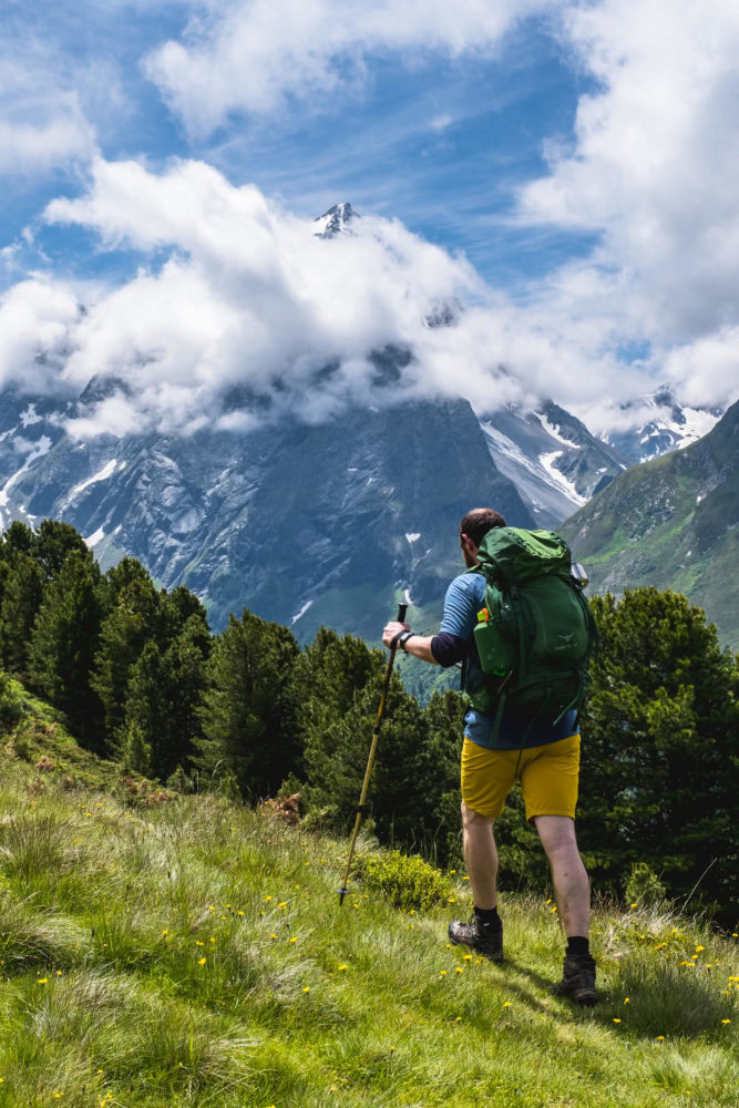 Wanderer läuft mit Stöcken und Rucksack durch eine Wiese mit Blumen