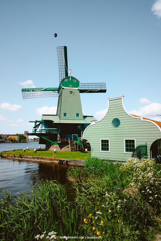 Rich results on Google's SERP when searching for ‘เที่ยวหมู่บ้านกังหันลมซานส์สคันส์’, ‘Zaanse Schans’, ‘หมู่บ้านกังหันลมซานส์สคันส์’, ‘หมู่บ้านซานส์สคันส์’, ‘ซานส์สคันส์’, ‘เที่ยวซานส์สคันส์’, ‘เดย์ทริปจากอัมสเตอร์ดัม’, ‘ที่เที่ยวเนเธอร์แลนด์’, ‘เมืองน่าเที่ยวเนเธอร์แลนด์’, ‘วางแผนเที่ยวเนเธอร์แลนด์’, ‘เที่ยวเนเธอร์แลนด์’, and ‘เที่ยวเนเธอร์แลนด์ด้วยตัวเอง’