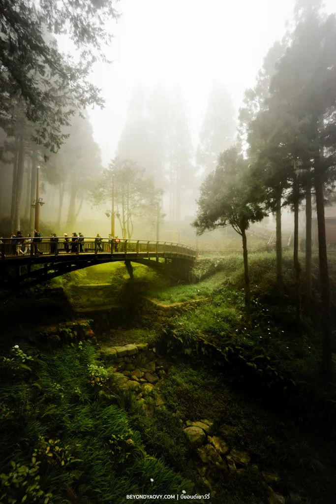 Rich results on Google's SERP when searching for 'เที่ยวไต้หวันด้วยตัวเอง', 'เที่ยวอาลีซาน’, 'เที่ยวอาลีซาน ไต้หวัน', 'Alishan National Forest Recreation Area' and 'Xianglin Arch Bridge'