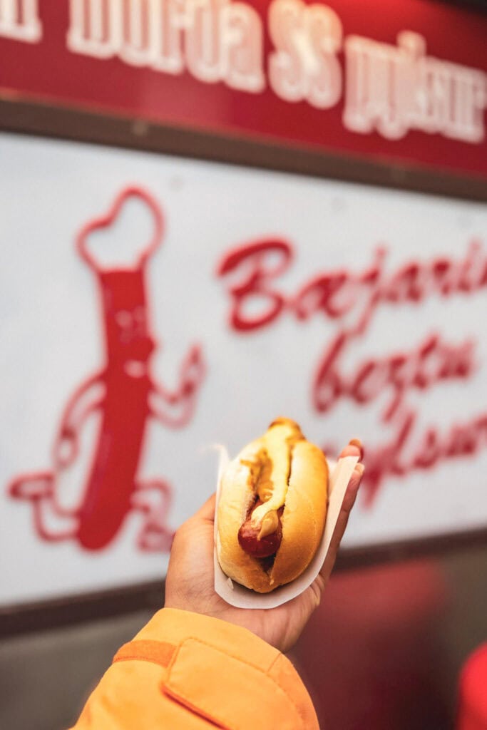 My delicious Icelandic hot dog that I got in Reykjavik