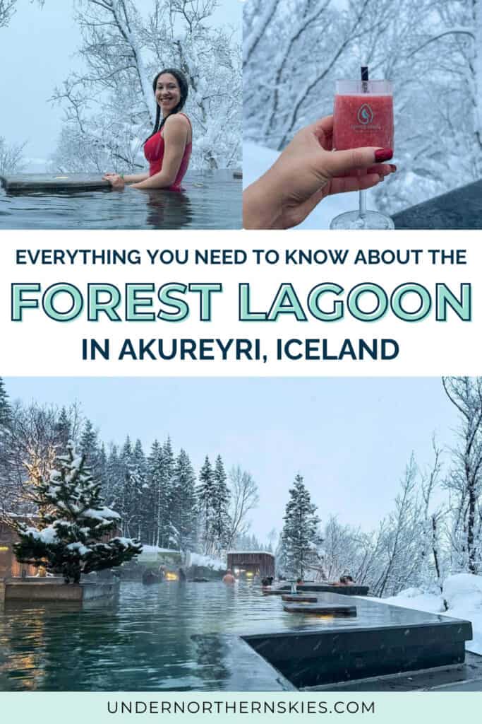 THE FOREST LAGOON IN AKUREYRI