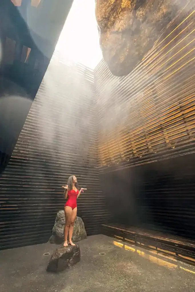 The cold mist room