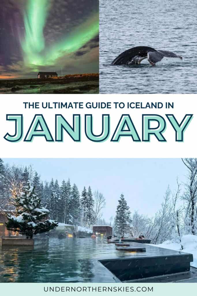 Northern lights over a snowy landscape with a small building, whale breaching the water, and a snowy hot spring scene.
