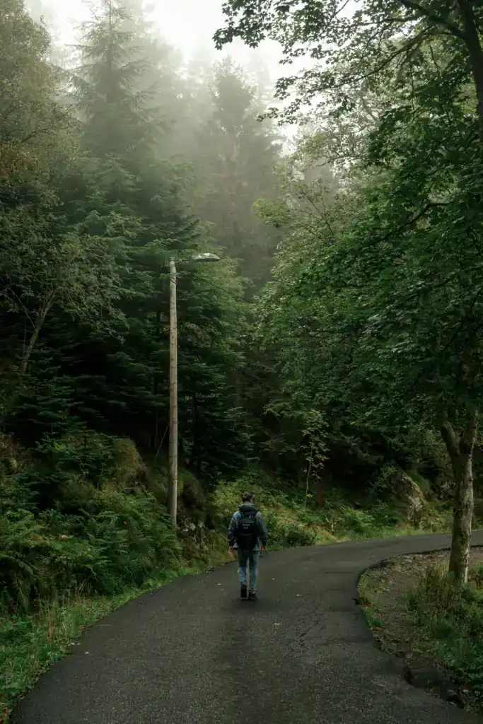Andrew walking through the forest at the top of Mount Floyen
